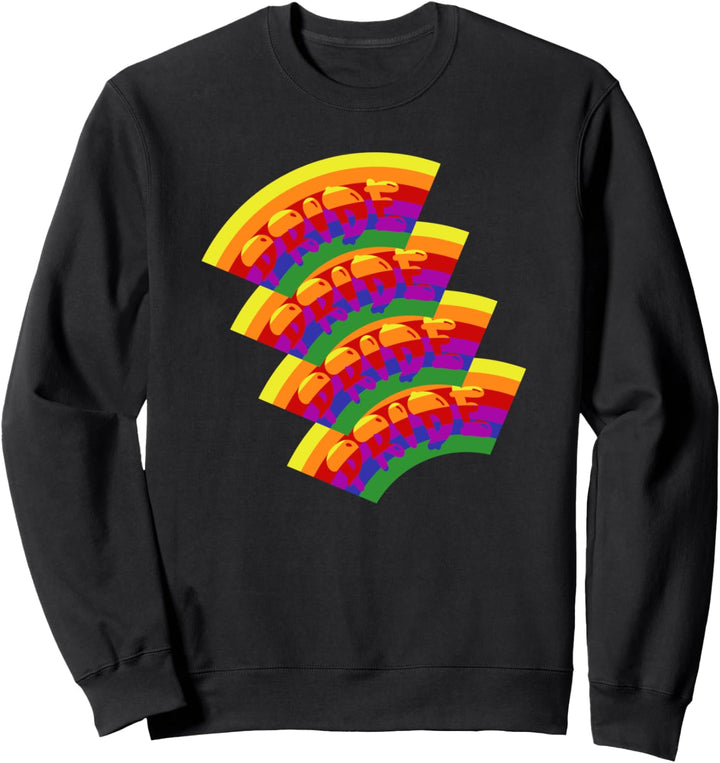 LGBTQ Regenbogenflagge Gay Pride Monat Transgender Lesben Sweatshirt