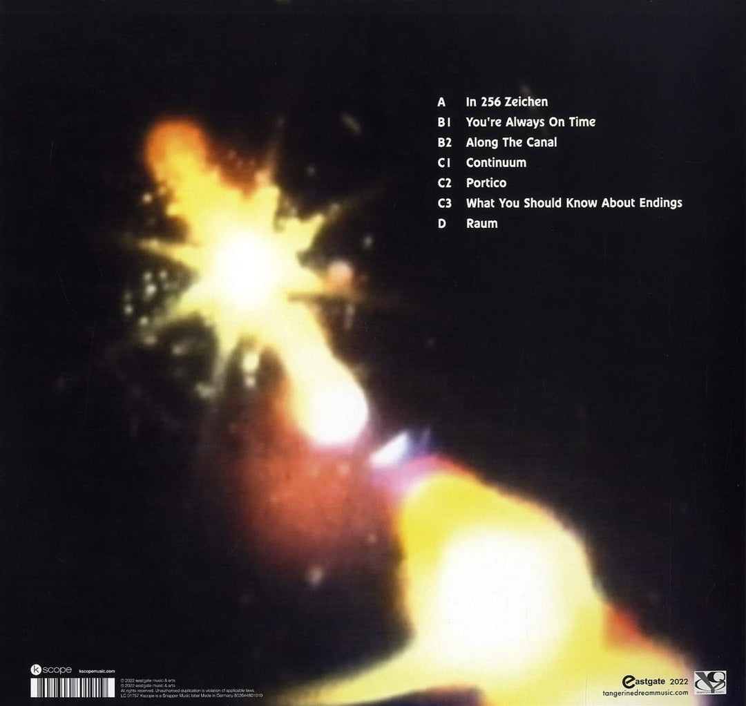 Raum (Gatefold Black 2lp) [Vinyl LP], Vinyl