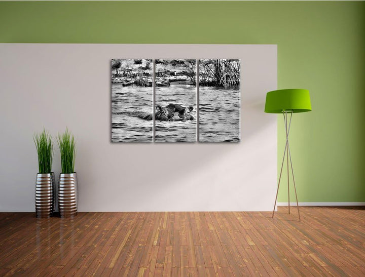 Pixxprint Monocrome, schwimmendes Flusspferd 3-Teiler Leinwandbild 120x80 Bild auf Leinwand