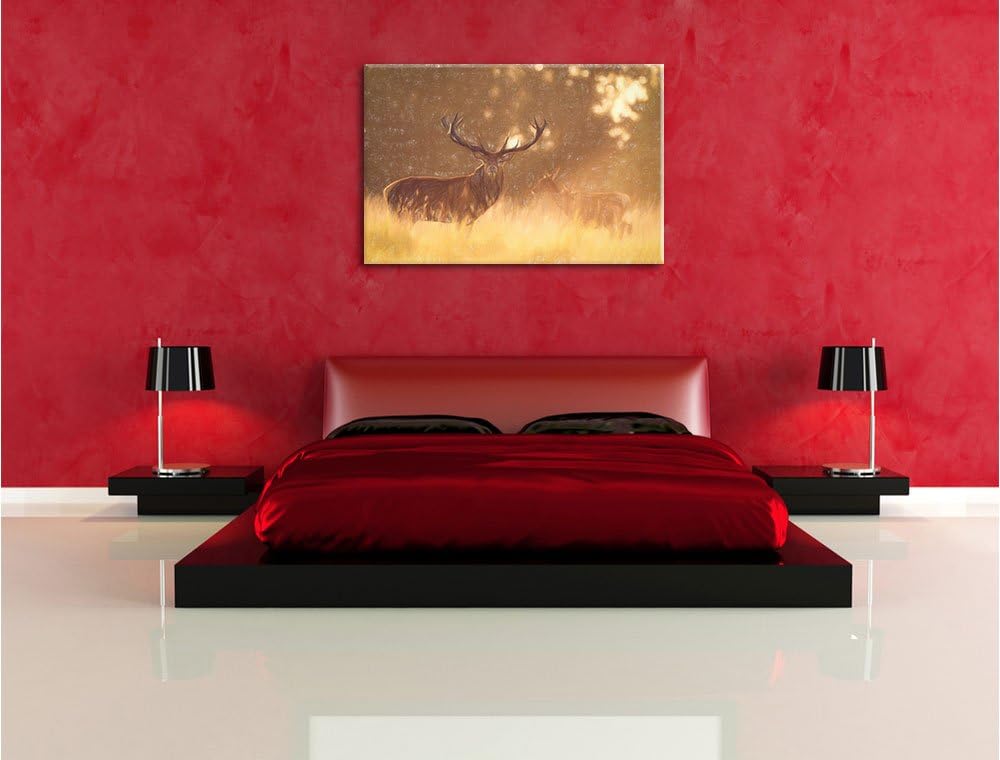 Pixxprint Rotwild im goldenen Morgenlicht als Leinwandbild | Grösse: 100x70 cm | Wandbild | Kunstdru