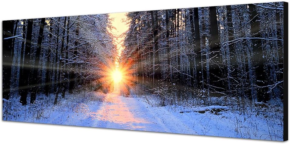 Paul Sinus Art Panoramabild auf Leinwand und Keilrahmen 150x50cm Wald Bäume Winter Schnee Sonnenaufg