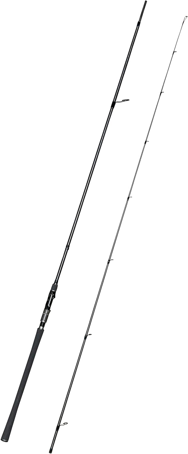 ZECK - Weitwurf-Spinnrute - Silver Horizon 305 | 34g - Spinnfischen