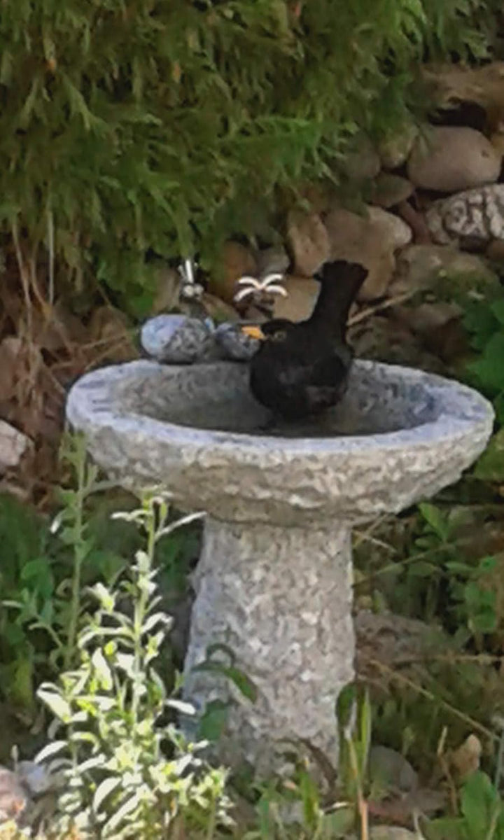 Vogelbad aus Granit in Schalenform (mit 3 Vögele am Rand sitzend), mit 3 Vögele am Rand sitzend