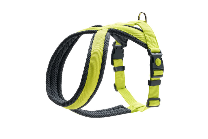 Hunter Geschirr London Comfort Limette M, Limette M
