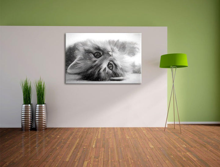 Pixxprint Süsses Katzenbaby als Leinwandbild/Grösse: 100x70 / Wandbild/Kunstdruck/fertig bespannt, 1