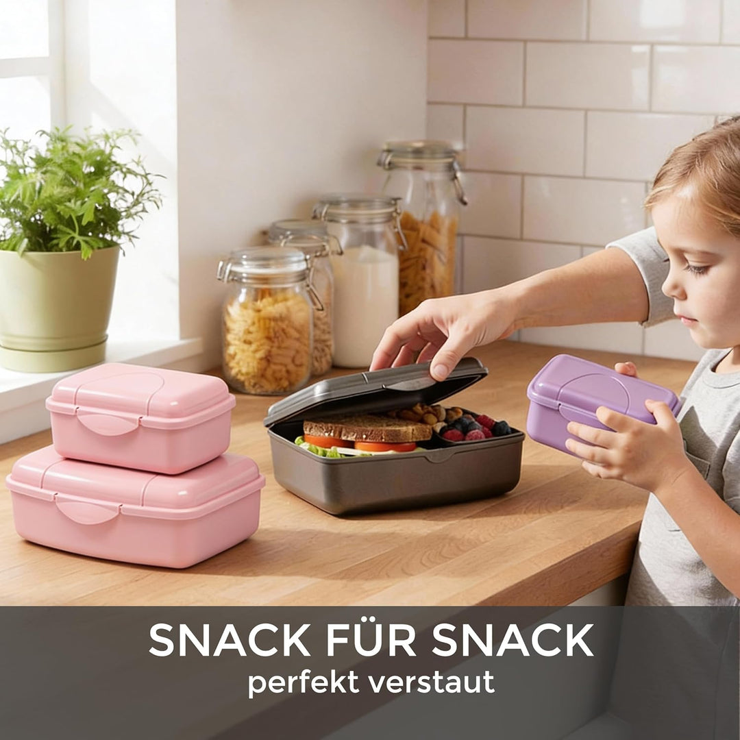 Hausfelder Brotdose Set Erwachsene – 4er Lunchbox Set blau mit 2 grossen (18x14x6,5cm) &amp; 2 kleinen (