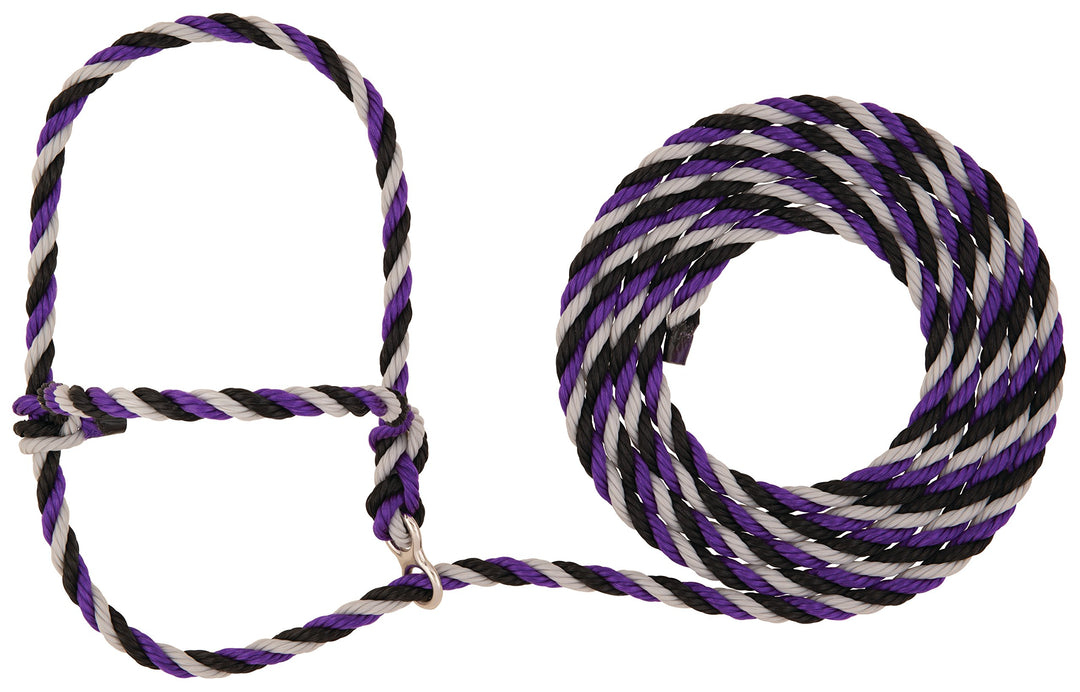 WEAVER Stierwalt Breaking Halfter aus Leder Violett/Schwarz/Grau, 8 1/2' Violett/Schwarz/Grau