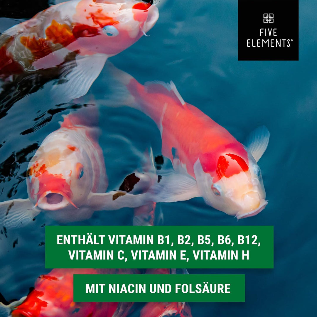 FIVE ELEMENTS Koi-Vitamine | 5,0 l flüssig | wichtige Vitamine und Mineralien | verbessert Abwehrkrä
