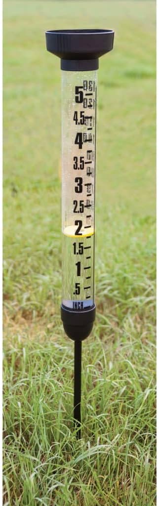 Esschert Fallen Fruits Schwimmender Regenmesser