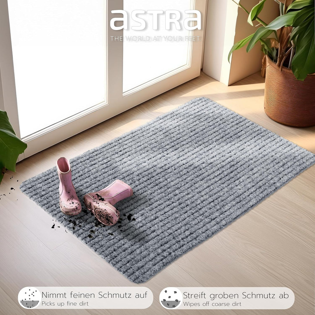 Astra Fussmatte innen Silber Schmutzfangmatte rutschfest – Türmatte 50x80 cm 2er Set wasserabweisend