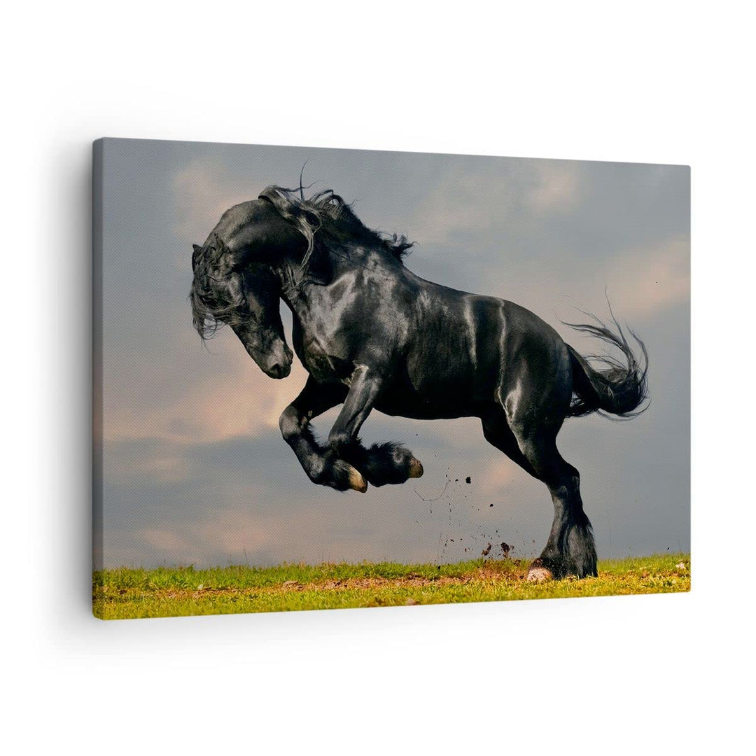 ARTTOR Bilder auf Leinwand Wolke Pferd Wiese Natur Leinwandbild 70x50cm Wandbilder Dekoration Wohnzi