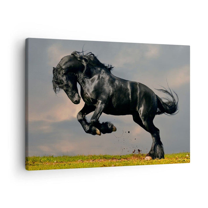 ARTTOR Bilder auf Leinwand Wolke Pferd Wiese Natur Leinwandbild 70x50cm Wandbilder Dekoration Wohnzi