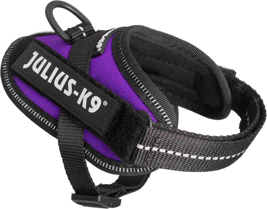 Julius-K9, IDC Powergeschirr, Grösse: 3XS/Baby 1, Dunkelviolett
