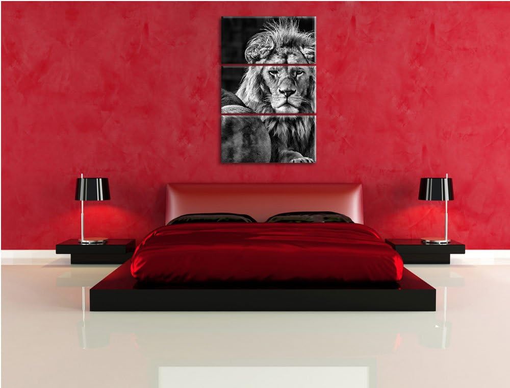 Pixxprint schönes Löwenpaar als Leinwandbild/Grösse: 3 Teilig (120x80) cm/Wandbild/Kunstdruck/fertig