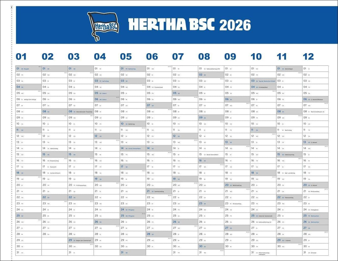 Hertha BSC Posterkalender 2026: Fotokalender mit den Spielern des Hertha BSC. Praktischer Jahres-Wan