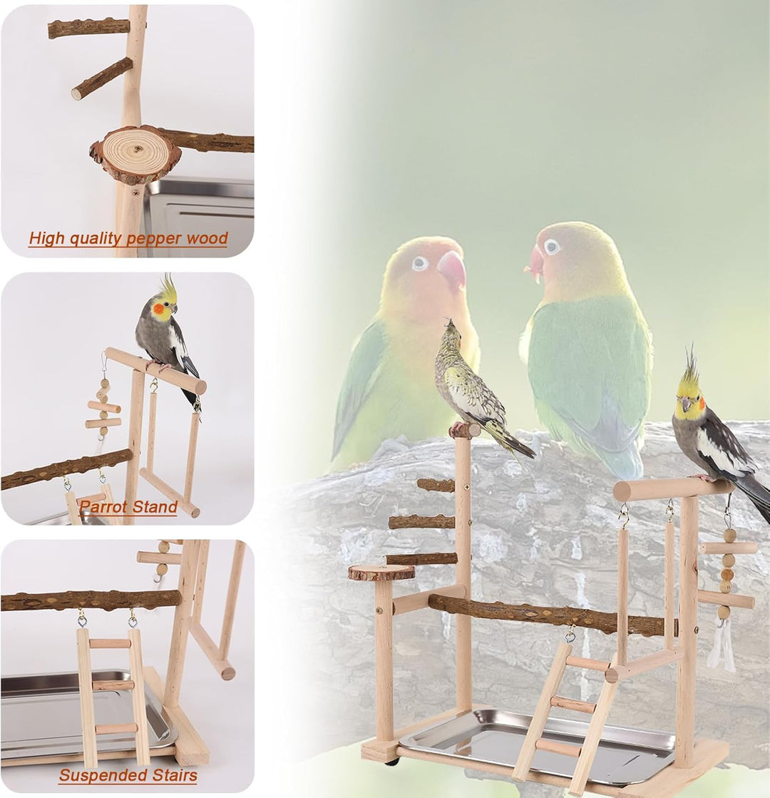 Dynaeuty Papagei Vogelspielplatz, Wellensittich Spielzeug, Parrot Playstand, Geeignet für Eclectus,