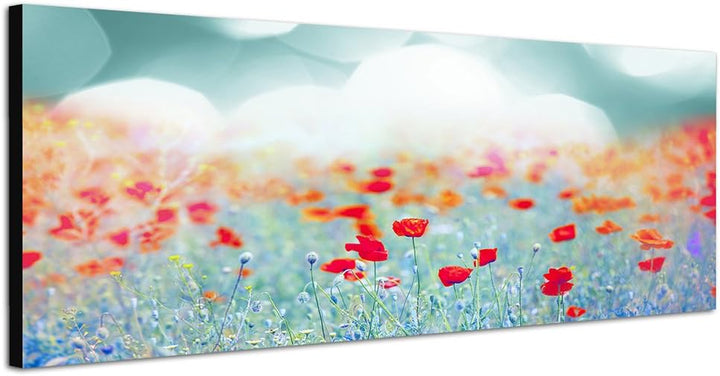 Paul Sinus Art Panoramabild auf Leinwand und Keilrahmen 150x50cm Mohnblumen Wiese Sommer Sonnenunter