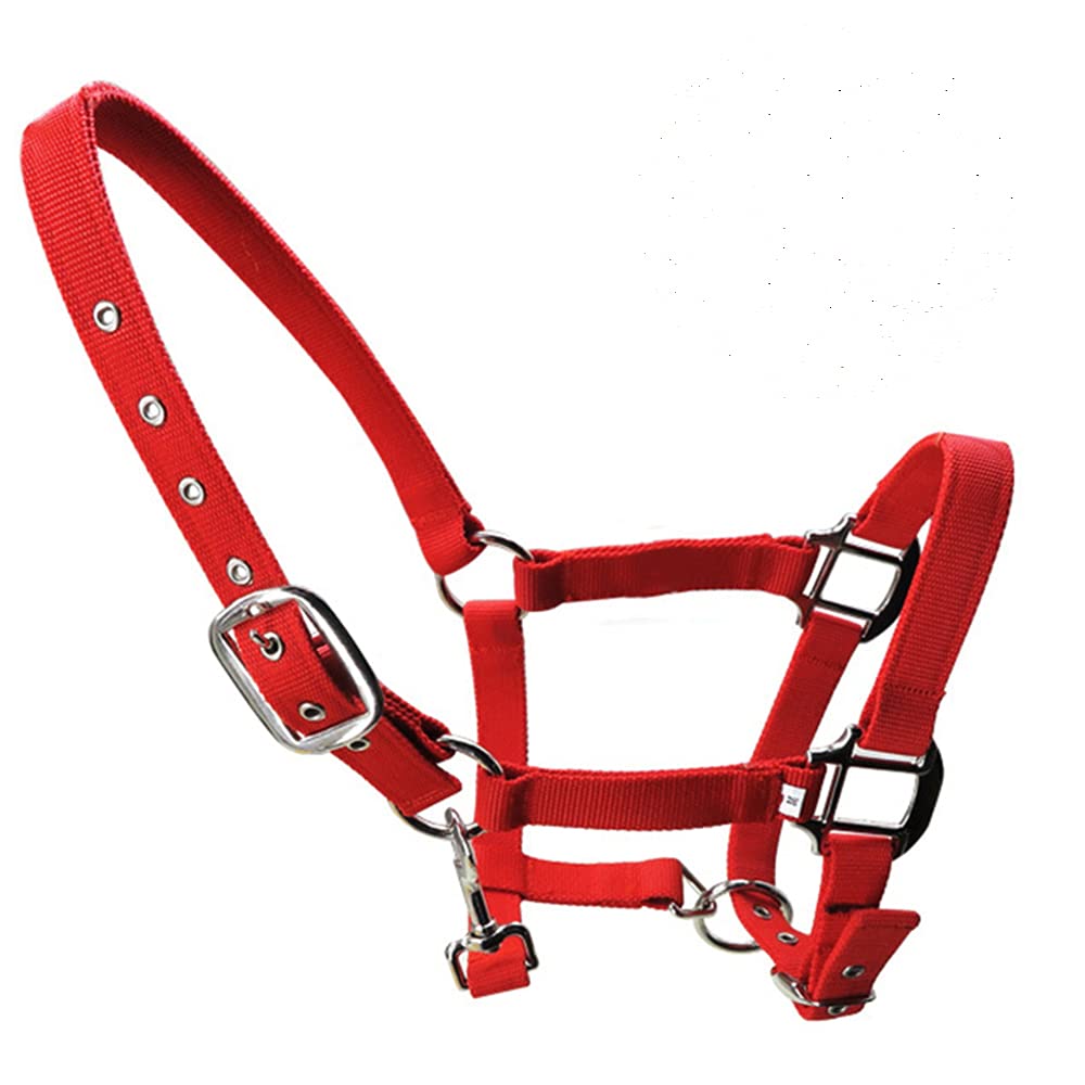 tooloflife Reithalfter aus Nylon, verstellbar, für Fohlen, Pony, Esel, Rot Red-Small, Red-Small