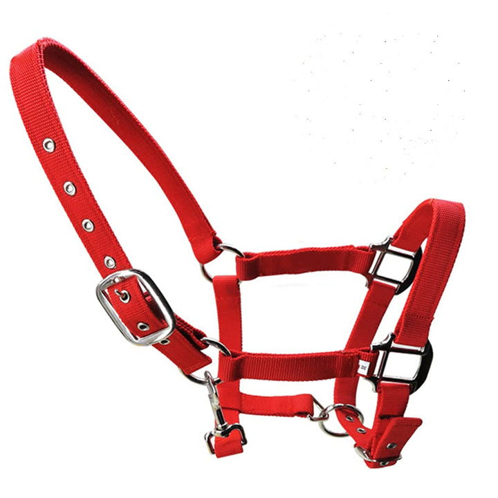 tooloflife Reithalfter aus Nylon, verstellbar, für Fohlen, Pony, Esel, Rot Red-Small, Red-Small