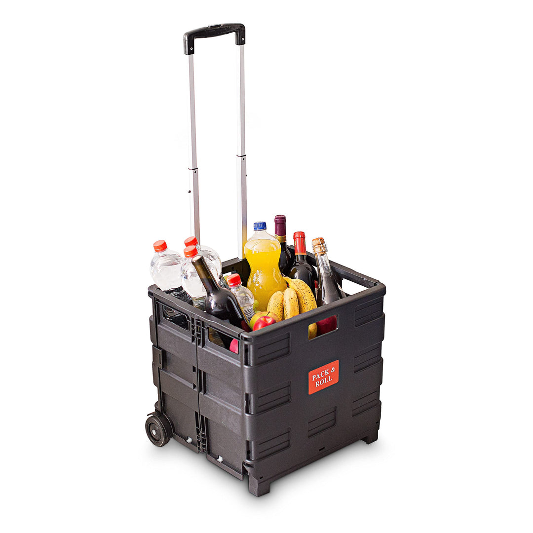 2 x Einkaufstrolley, Klappbar, Einkaufsroller bis 35 kg, Verstellbarer Griff, Mit Rollen, HBT: 100 x
