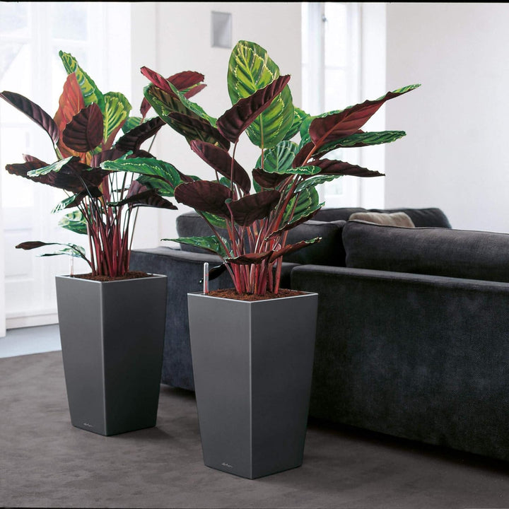 LECHUZA CUBICO Premium 40 anthrazit metallic 18194, 39.5x39.5x75.5 cm 39.5x39.5x75.5 cm Anthrazit Me