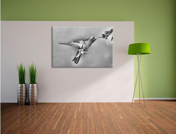 Pixxprint Bunter Kolibri als Leinwandbild/Grösse: 100x70 cm/Wandbild/Kunstdruck/fertig bespannt, 100