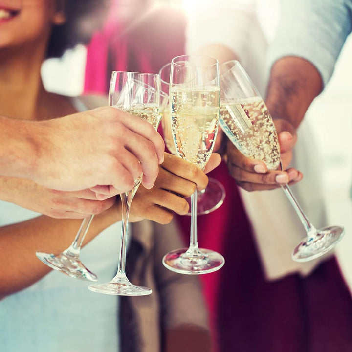 10 Flaschentüten Geschenktüten für Weingeschenke wie Wein Prosecco und Champagner - Lederoptik Rot,