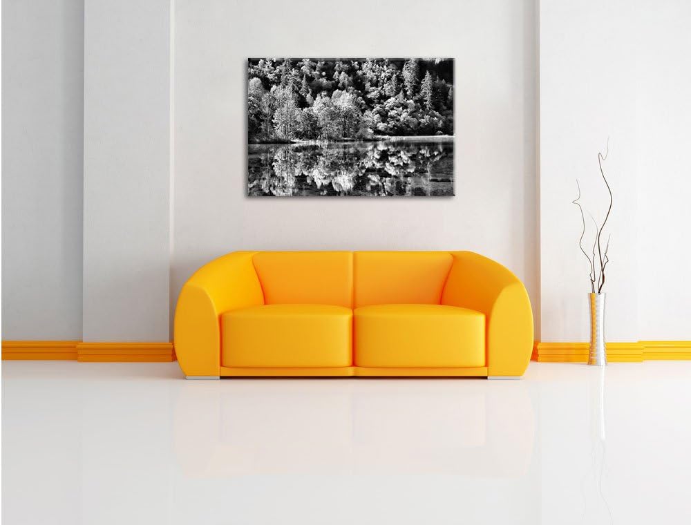 Pixxprint Monocrome, herbstlicher Wald am See, Format: 100x70 auf Leinwand, 100x70