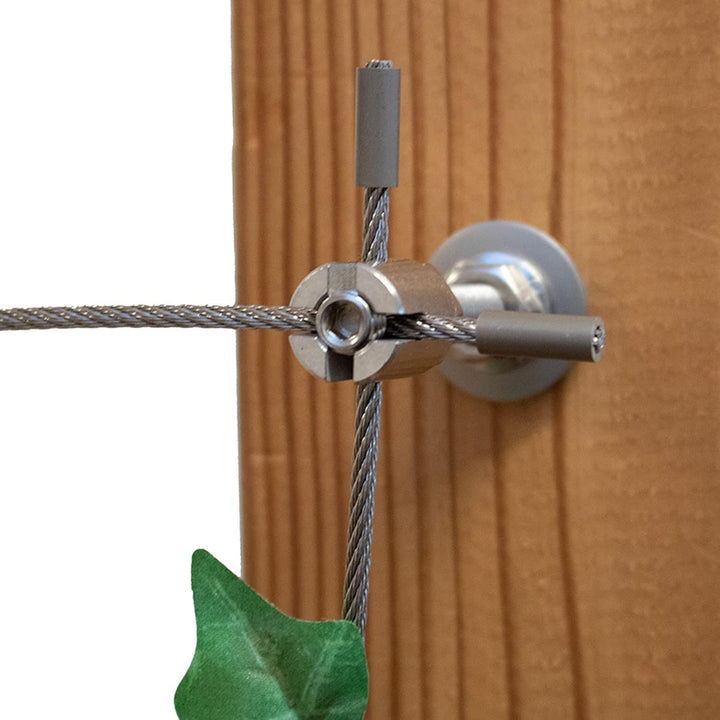 Edelstahl Ranksystem/Rankhilfe "M" - Wandabstand 50mm (Set 2) mit 3 Wandhaltern Set 2 - 3 Wandhalter