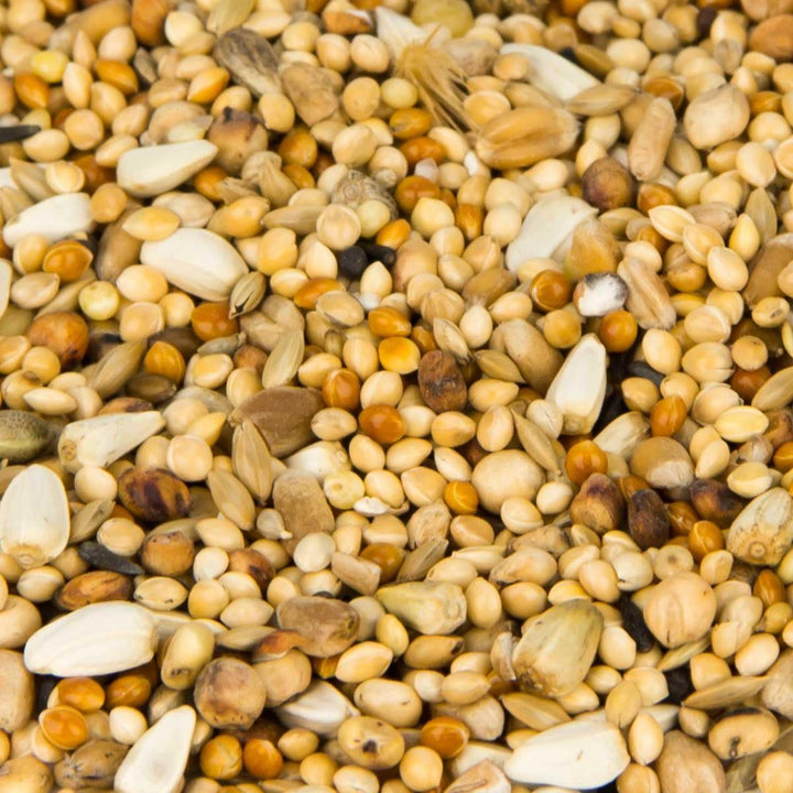 Leimüller Taubenfutter kleinkörnig ohne Erbsen & Mais 25 kg - Artgerechtes Futter ohne GVO und Staub