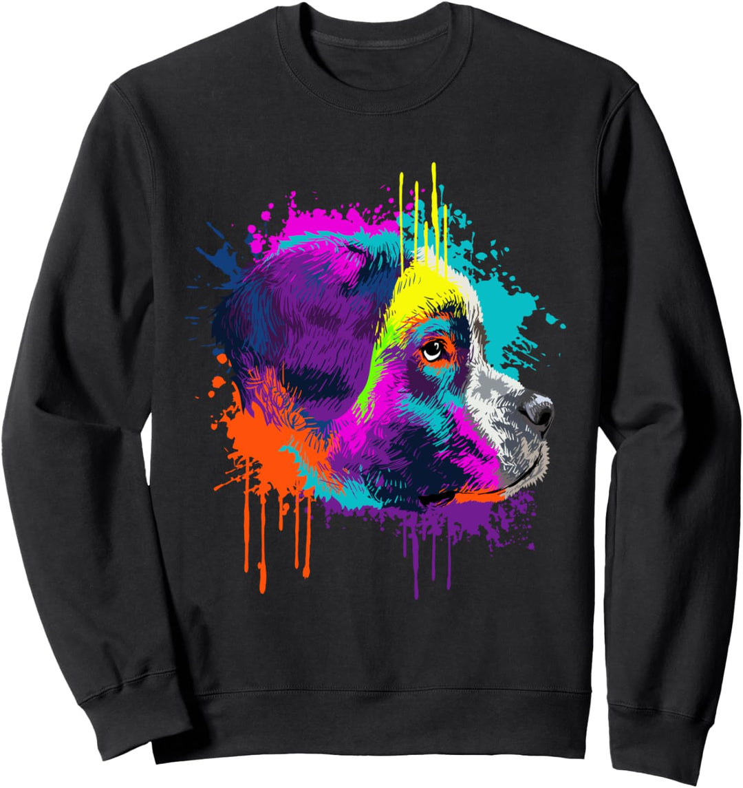 Splash Art Bernhardiner Hundehalter Geschenkidee Hunde Sweatshirt
