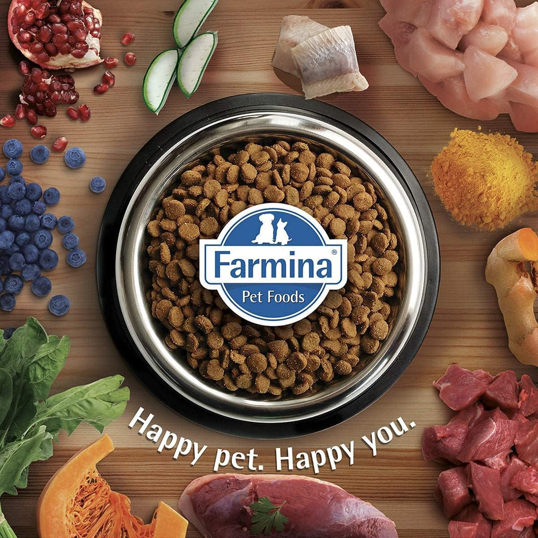 FARMINA N&D HS81611,GF Pumpkin Dog M/L Lamb & Blueberry