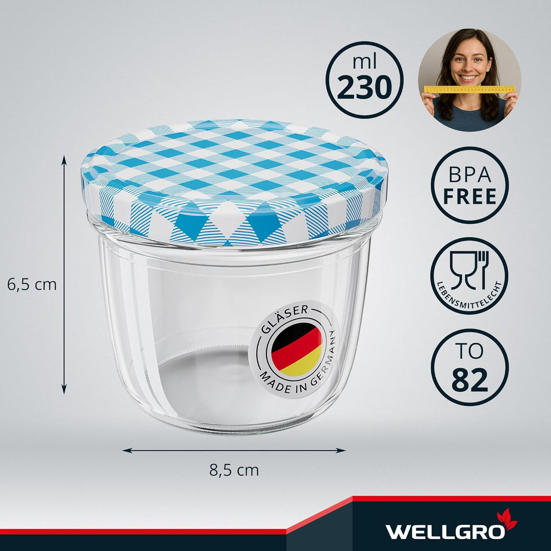 WELLGRO 200x Einmachgläser mit Schraubdeckel - 230 ml, 8,5 x 6,5 cm (ØxH), Glas/Metall, blau kariert
