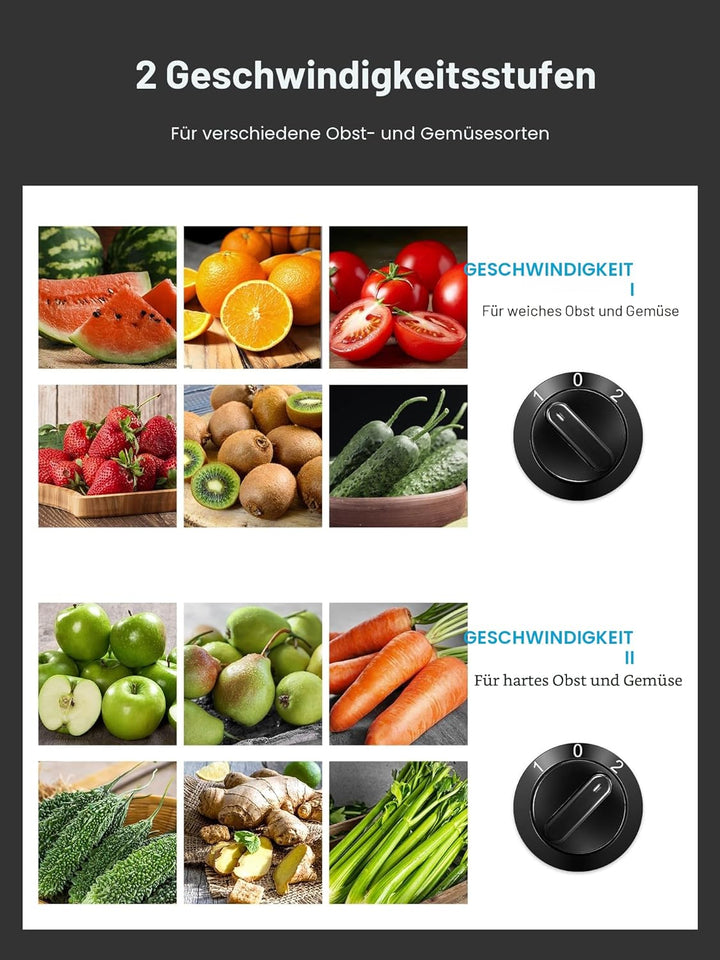 Reemix Entsafter Gemüse und Obst, Max Juicer Machine aus Edelstahl mit 3 Geschwindigkeitsstufen, 65m