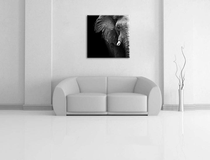 Pixxprint Elefant Porträt, Format: 70x70 auf Leinwand, XXL riesige Bilder fertig gerahmt mit Keilrah