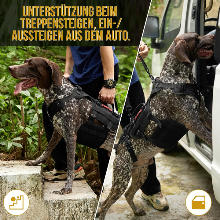 OneTigris Hundegeschirr, Invictus Unterstützung Geschirr, Hebegeschirr für Mittelgrosse Grosse Hunde