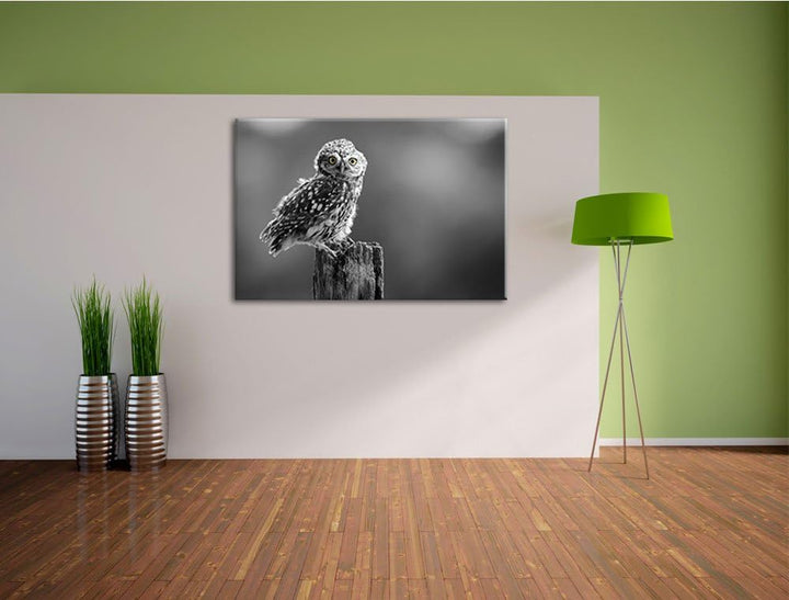 lustige Eule auf Baumstumpf schwarz/weiss Format: 100x70 auf Leinwand, XXL riesige Bilder fertig ger