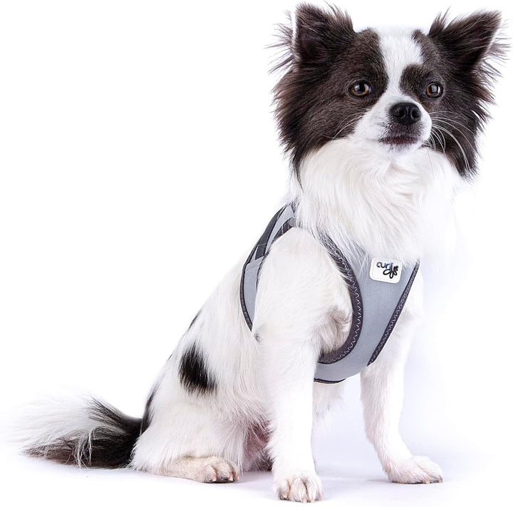 Glow curli Clasp Vest Harness Reflective Gray L, L