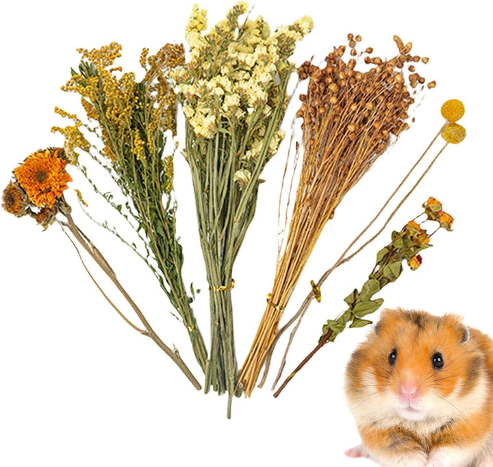 Hamster-Heublumen-Einstreu, Bettwäsche für Blumen Hamster, Hamster-Blumen Bettwäsche, Hamster-Heublu