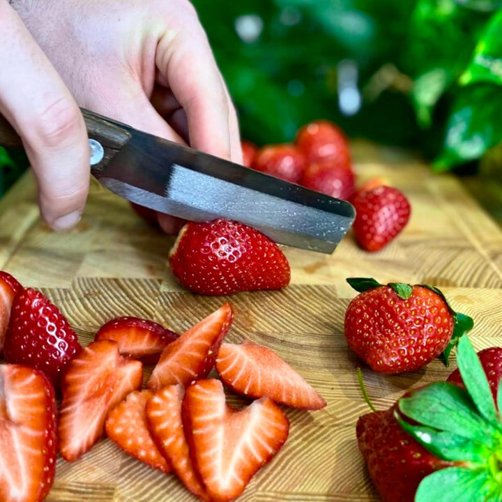 AUTHENTIC BLADES THANG - asiatisches Küchenmesser - Klingelänge 12 cm - traditionell handgefertigt -
