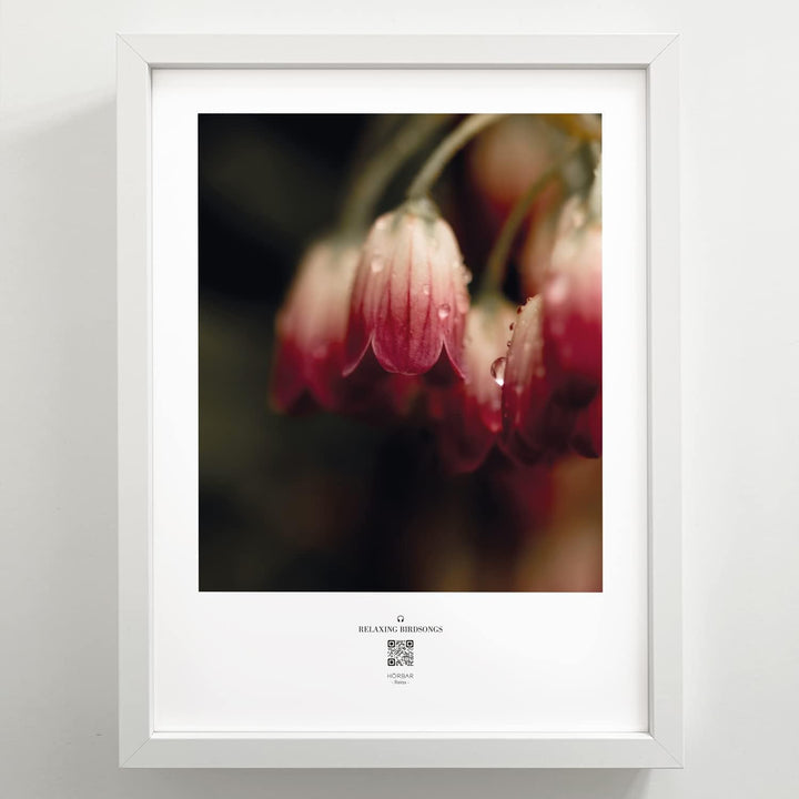 VALINA HÖRBAR RELAX | Hörbild | 3er-Set | Blumen | Poster Poster / Papier 30cm x 40cm, Poster / Papi