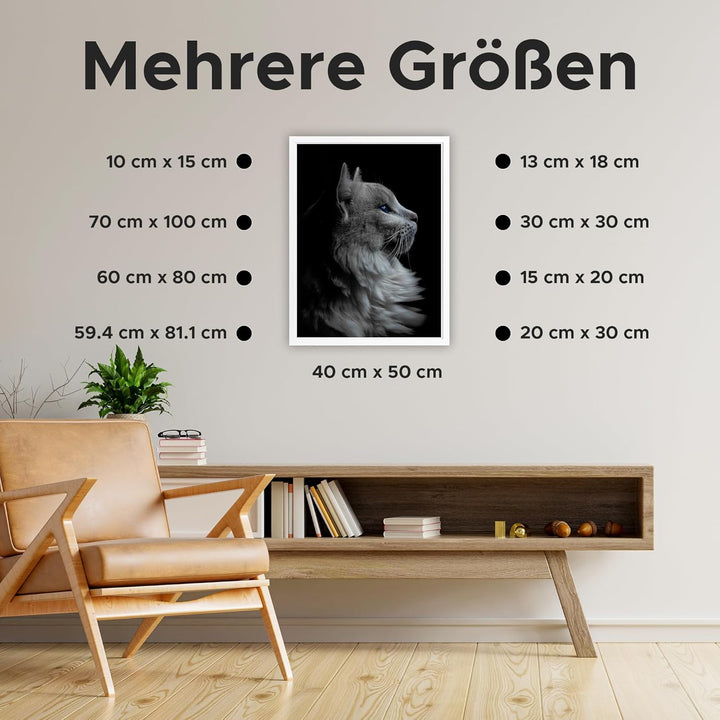 Estancia Weisser Bilderrahmen aus Kiefernholz 42x59,4 cm (A2) mit Bruchsicherem Acrylglas | Moderner
