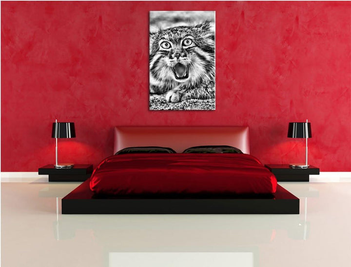 Monocrome, scheue Manul, Format: 100x70 auf Leinwand, XXL riesige Bilder fertig gerahmt mit Keilrahm