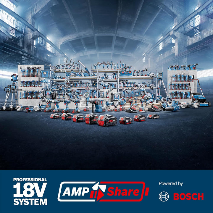 Bosch Professional Schnellladegerät GAL 12V/18V-80