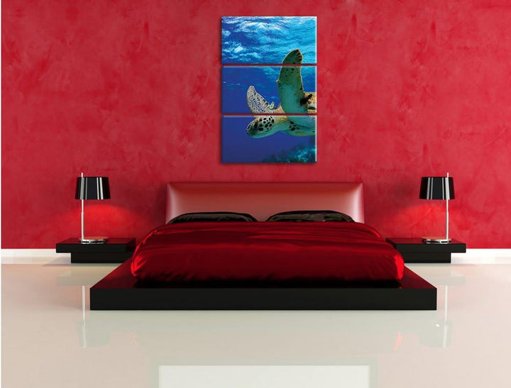Pixxprint Schildkröte im Riff als Leinwandbild/Grösse: 3 Teilig (120x80) cm/Wandbild/Kunstdruck/fert