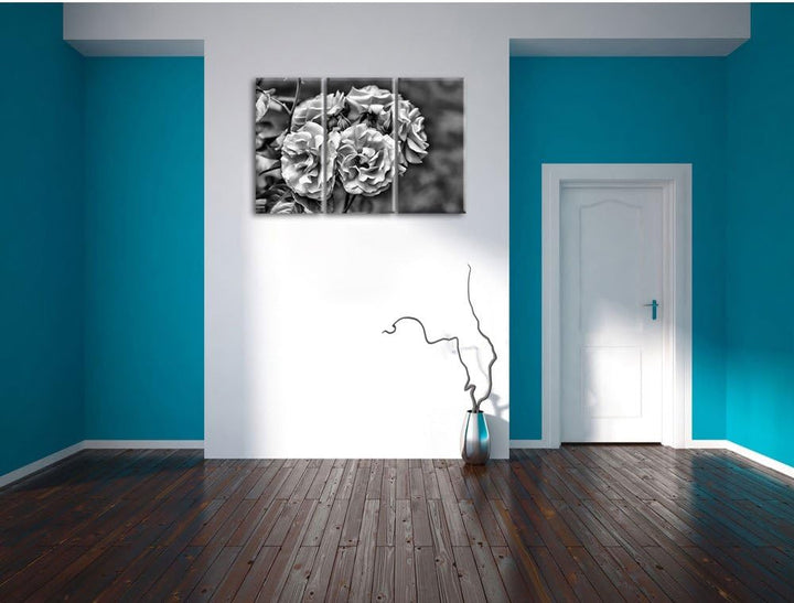 Pixxprint Weiss gelbe Rose Blumen als Leinwandbild/Grösse: 3 Teilig (120x80) cm/Wandbild/Kunstdruck/