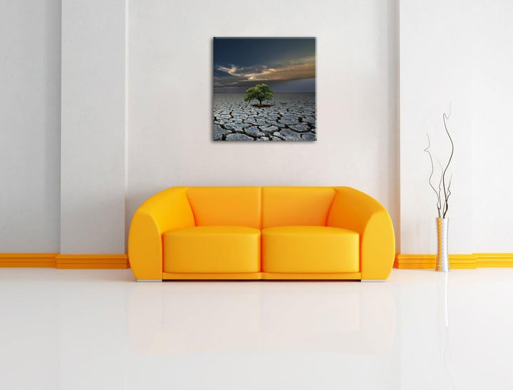 Pixxprint Der letzte Baum im ausgetrockneten Boden, Format: 70x70 auf Leinwand, 70x70