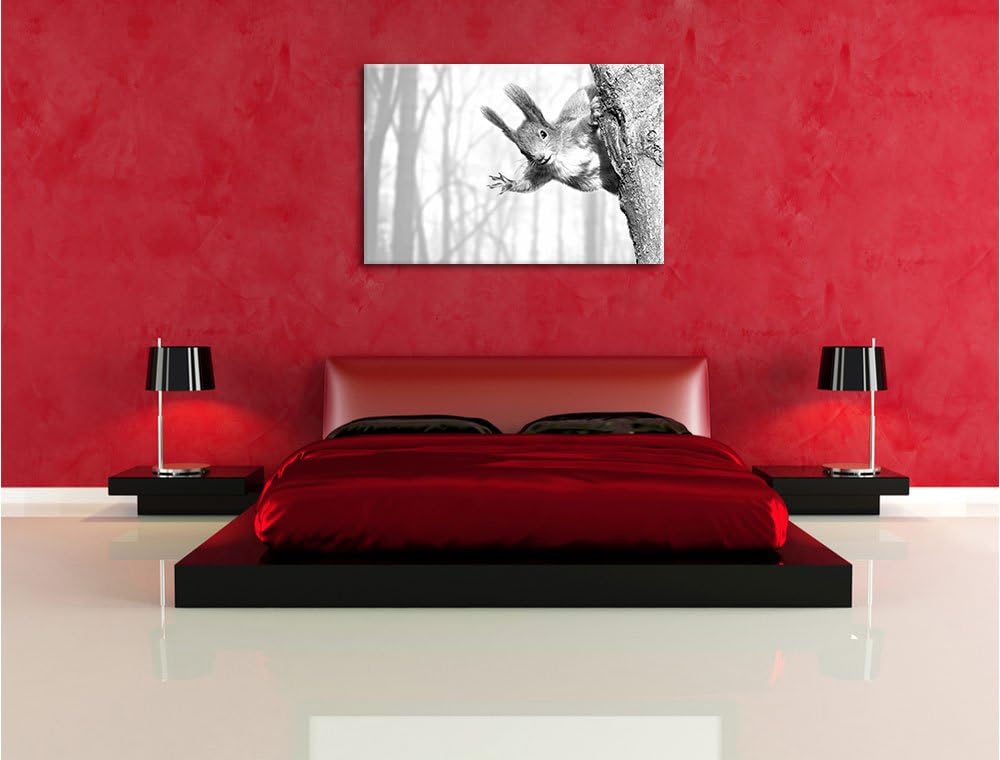 Pixxprint Eichhörnchen als Leinwandbild/Grösse: 100x70 cm/Wandbild/Kunstdruck/fertig bespannt, 100x7