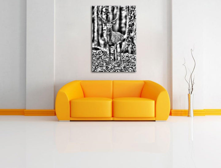Pixxprint Monocrome, Schöner Hirsch im Wald, Format: 100x70 auf Leinwand, 100x70