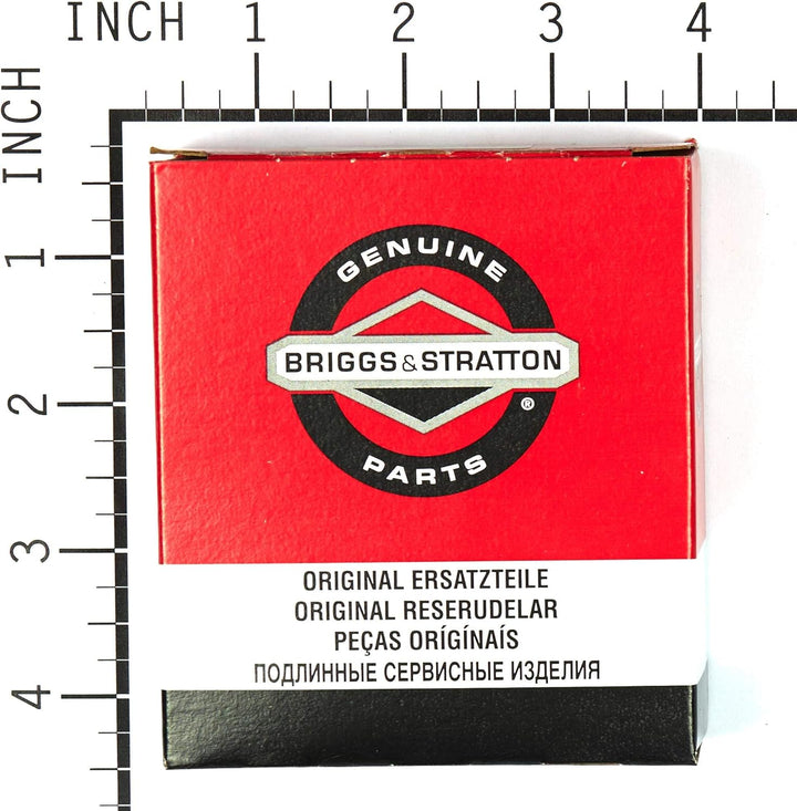 Briggs & Stratton 808656 Benzinpumpe